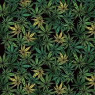 🌿 marijuana themed gift wrapping paper sheets - 2 sheets, 7.5 sq. ft each logo