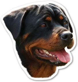 img 1 attached to 🚚 4.75" x 5" Rottweiler Magnet for Cars, Trucks, and Fridges - Magnet America