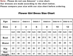 img 1 attached to WDE Princess Girls Pageant Dresses Girls' Clothing ~ Dresses