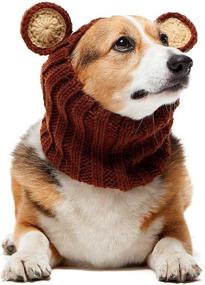 img 4 attached to 🐻 Snuggle up in Style with the Zoo Snoods Grizzly Bear Dog Costume - Ear Wrap Hood for Pets