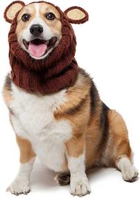 img 3 attached to 🐻 Snuggle up in Style with the Zoo Snoods Grizzly Bear Dog Costume - Ear Wrap Hood for Pets