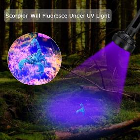 img 2 attached to 🔦 Super Bright 100 LED UV Flashlight 395NM - Black Light for Pet Urine Detection, Scorpions, Bed Bugs - Includes UV Sunglasses