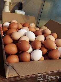 img 8 attached to 30 комплектов экологически чистых прозрачных пластиковых коробок для яиц с этикетками - надежно удерживает 6 яиц в каждой!
