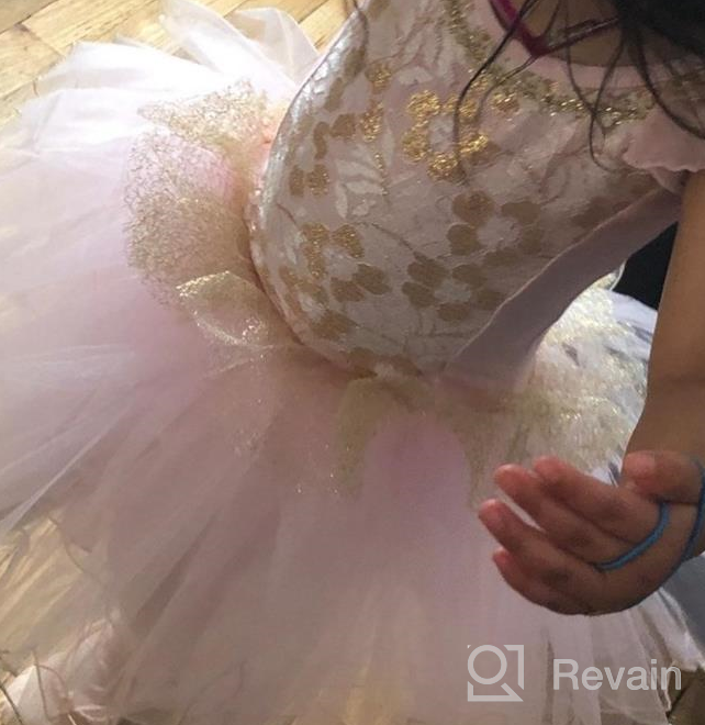 img 1 attached to Cute and Charming: Meeyou Little Girls' Flower Ovelay Ballet Tutu Dress review by Laurie Fitzgerald