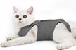 🐱 surgical abdominal wound recovery suit for cats - indoor pet clothing & e-collar alternative pajama suit after surgery logo