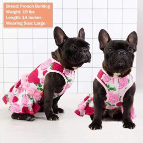 img 1 attached to KYEESE Floral Rose Dog Dresses with Flowers Decoration - Elegant Princess Dress for Small Dogs, Ideal for Spring and Summer - Puppy Apparel and Pet Clothing