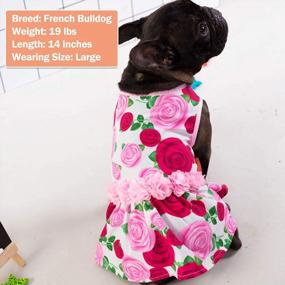 img 2 attached to KYEESE Floral Rose Dog Dresses with Flowers Decoration - Elegant Princess Dress for Small Dogs, Ideal for Spring and Summer - Puppy Apparel and Pet Clothing