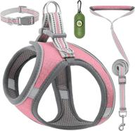 🐶 be12 small puppy dog harness and leash collar set: lightweight, no pull design for all weather comfort – size xxs logo