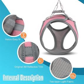 img 2 attached to 🐶 BE12 Small Puppy Dog Harness and Leash Collar Set: Lightweight, No Pull Design for All Weather Comfort – Size XXS