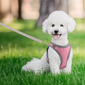 img 1 attached to 🐶 BE12 Small Puppy Dog Harness and Leash Collar Set: Lightweight, No Pull Design for All Weather Comfort – Size XXS