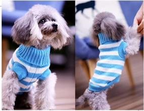 img 1 attached to High Stretch And Soft Striped Kitty Sweater For Cats And Small Dogs - Evursua Knitwear For Male And Female Pets (S, Blue) - Keeping Them Warm And Fashionable
