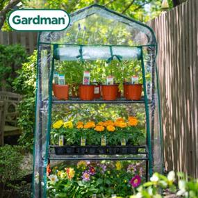 img 2 attached to Maximize Your Greenhouse Garden Space With The Gardman R687 4-Tier Mini Greenhouse