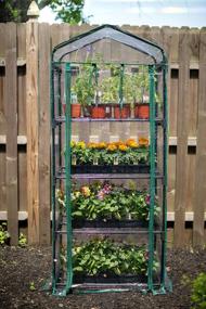 img 4 attached to Maximize Your Greenhouse Garden Space With The Gardman R687 4-Tier Mini Greenhouse