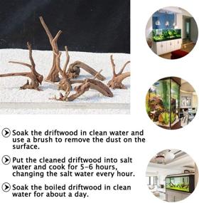 img 3 attached to Hamiledyi Natural Aquarium Driftwood: 2 Pcs Reptile Spider Wood Ornament Assorted Branches Log Decoration for Fish Tanks