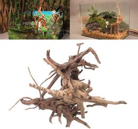img 2 attached to Hamiledyi Natural Aquarium Driftwood: 2 Pcs Reptile Spider Wood Ornament Assorted Branches Log Decoration for Fish Tanks