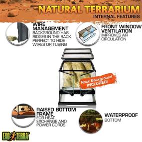 img 1 attached to Enhance Your Reptile's Habitat with Exo Terra Glass Natural Terrarium