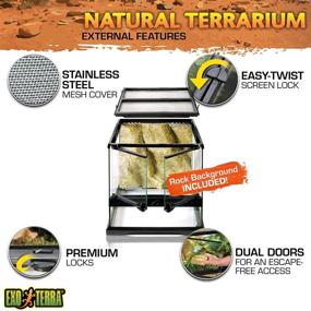 img 2 attached to Enhance Your Reptile's Habitat with Exo Terra Glass Natural Terrarium