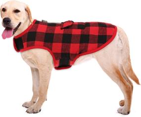 img 4 attached to BRKURLEG Lightweight Reversible Windproof Reflective Dogs