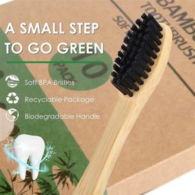 img 1 attached to Environmentally-friendly Biodegradable Toothbrushes 🌱 by Miresico: Eco-friendly and Compostable