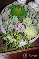 img 1 attached to 14 Pcs Artificial Succulents Plants Unpotted Green Hops String Of Pearls Echeveria Air Plant Picks Bulk For Garden Arrangement Centerpiece Indoor Outdoor Home Decor review by Kenny Stephens