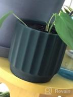 картинка 1 прикреплена к отзыву Set Of 2 Terra Cotta Cement Indoor Plant Pots - 4 Inch Medium Planter Vessels With Drain Hole For Contemporary Decor - Unglazed Pottery By POTEY 202221 от Jelani Weaver