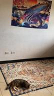 img 1 attached to Bohemian Area Rug In Multi-Colored Vintage Distressed Style - 9' X 12' From Rugshop review by Derrick Shaw