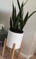 img 1 attached to 🌿 Cultivate Elegance with Our 8 Inch Glazed Ceramic Indoor Planter Pot - Perfect for Succulents, Flowers, or Bonsai review by Gerardo Cibrian