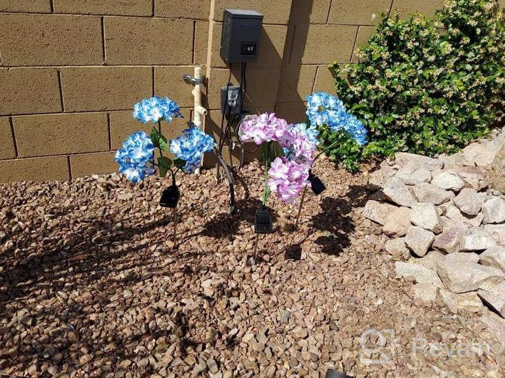 img 1 attached to 3 Pack Solar Garden Lights 2022 Version – Outdoor Colorful Hydrangea Flower Decoration, Two Lighting Modes & Enlarged Solar Panel - TONULAX review by Tom Reid