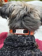 img 1 attached to Personalized Red Nylon Dog Collar With Engraved Name Plate - Perfect For Large Dogs | Joytale review by Kevin Compton