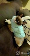 img 1 attached to Small Dog & Cat Turtleneck Sweater Pullover - Soft Warm Clothes For Kittens, Chihuahuas, Teddy Bears, Poodles & Pugs review by John Munajj