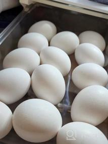 img 7 attached to Держатель для яиц для холодильника - MDHAND Контейнеры-органайзеры для холодильников, контейнер для яиц без бисфенола А для холодильника, двухслойный держатель для яиц, органайзер для ящиков холодильника и место для хранения