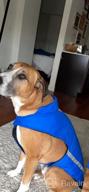 img 1 attached to Stay Warm And Safe: Ultimate Dog Jacket For Winter Hikes, Camping & Outdoor Activities - Reflective, Lightweight And Easy To Wear Pet Coat Available In S, M, L Sizes review by Jeff Wieczorek