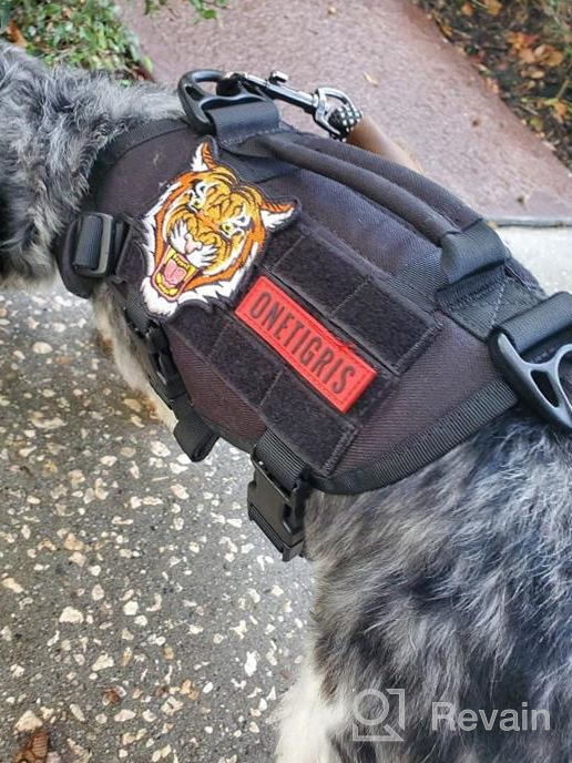 img 1 attached to Tactical Military Dog Harness With Vertical Handle And Durability For Small Puppies - XS (Neck: 11"-17", Chest: 15"-22") review by Louis Alford