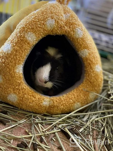 img 1 attached to Cozy Habitat Nesting Bed For Small Animals - Perfect For Guinea Pigs, Hamsters, Hedgehogs, Rats, And Chinchillas - Soft Snuggle Sack With Removable Washable Mat - Brown review by Ricardo Stewart