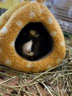 картинка 1 прикреплена к отзыву Cozy Habitat Nesting Bed For Small Animals - Perfect For Guinea Pigs, Hamsters, Hedgehogs, Rats, And Chinchillas - Soft Snuggle Sack With Removable Washable Mat - Brown от Ricardo Stewart