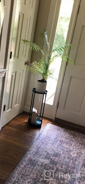 img 1 attached to Black Amazon Basics Plant Stand - Elevate Your Greenery! review by Ryan Cross