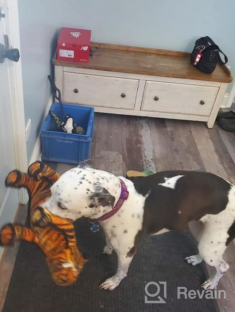 img 1 attached to 🐯 TUFFY - The Ultimate Soft Dog Toy: Zoo Junior Tiger - Unmatched Durability, Strength & Toughness. Interactive Play (Tug, Toss & Fetch). Machine Washable & Floats. review by Justin Wallace