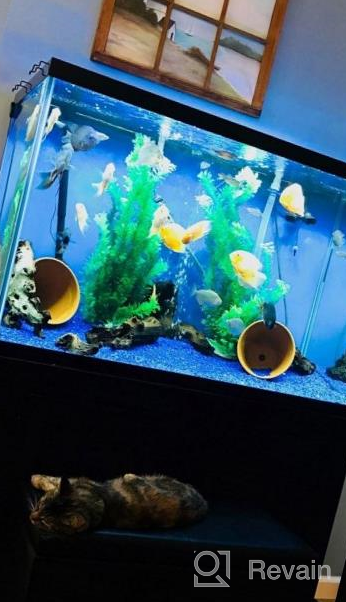img 1 attached to 🧲 Efficient Magnetic Fish Tank Cleaner: KEDSUM Floating Clean Brush with Handle Design review by John Ortiz