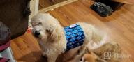 img 1 attached to CuteBone Male Dog Potty Training Belly Band, Leakproof Comfort 3-Pack (DM09XS) review by Robert Olguin