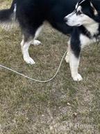 img 1 attached to 🐶 Durable 120Ft XiaZ Tie Out Cable for Outdoor Dogs Up to 120lb - Rust-Proof, Swivel Hooks, Ideal for Yard, Camping & More! review by Matthew Peterson