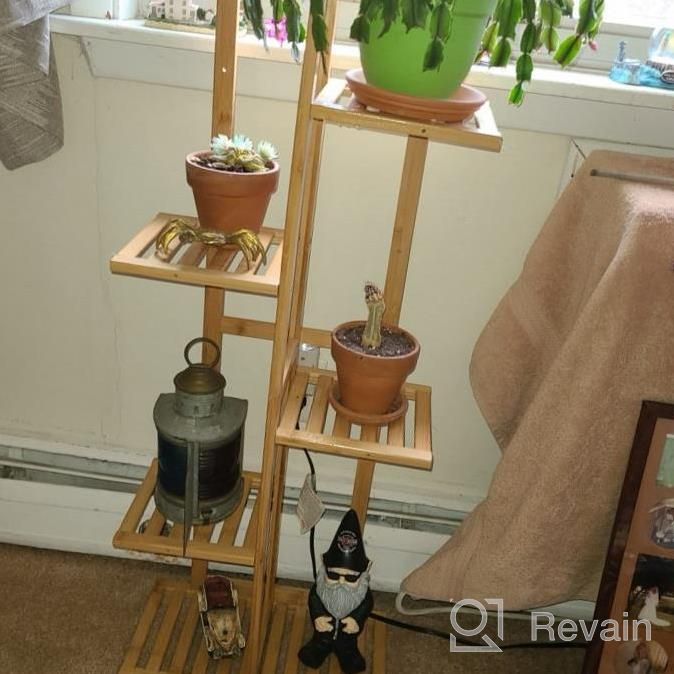 img 1 attached to 5 Tier 6 Potted Plant Stand Rack: Bamboo Flower Pot Holder Shelf For Indoor/Outdoor Planter Display Shelving Unit In Patio Garden, Corner Balcony & Living Room review by Jeremiah Small