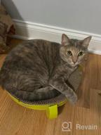 img 1 attached to Reversible Cat Scratcher Cardboard Lounge Bowl Pad - Pawise Kitty Scratching Relaxing Pad review by Jon Russell