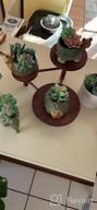 img 1 attached to 12 Pcs Unpotted Faux Succulent Plants - Small Plastic Assortment For Craft, Party Decor & Garden Outdoor review by Bobby Valadez