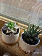 img 1 attached to Add Elegance To Your Space With ZOUTOG Mini Ceramic Succulent Planters - Pack Of 4 review by Greg Bloom