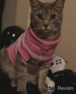 картинка 1 прикреплена к отзыву Очень тянущийся и мягкий полосатый свитер в стиле котика для кошек и маленьких собак - вязаная одежда Evursua для самцов и самок (S, синий) - сохраняющая их теплыми и модными от Raymond Simmons