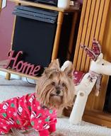 img 1 attached to ❤️ KYEESE Valentine's Day Dog Pajamas: Pink Heart Patterned PJs for Small Dogs - Soft, Stretchable Velvet Onesie for Holiday Comfort review by Dominic Ceo