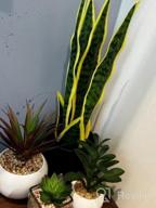 img 1 attached to Artificial Plants Sansevieria Snake Mini Plant With Black Plastic Planter Greenery Perfect Faux Agave Fake Plants In Pot For Home Office Indoor And Outdoo Décor (16" Green/ 12 Leaves) review by Terry Keown