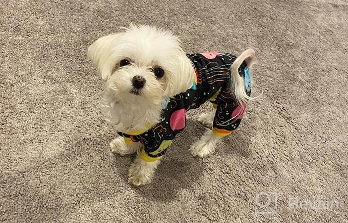 img 1 attached to Cute And Cozy: Red Striped Dog Hoodie With Hat By CuteBone DH01S review by Reynaldo Guzman