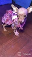 img 1 attached to 👗 CuteBone Summer Dog Dress with Harness D-Ring for Small Dogs Wedding Cat Clothes Girl Puppy Outfit Pink Shirt Flower Costume with Bow Hair Rope - DW02S review by Marcus Dorgham