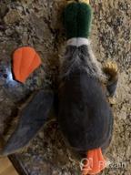 img 1 attached to Plush Mallard Duck Squeaky Toy For Small And Medium Dogs - 2 Pack Of 9 Inch Wild Duck Toys review by Brian Henley